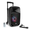 15-6100PLS von PARTY LIGHT & SOUND