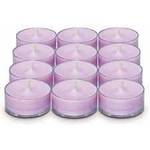 Partylite Teelichter Fresh Home Lavendel/Sandelholz
