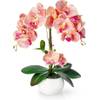 künstliche Orchidee von Pasch