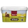 Vital von Pavo