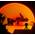 Sonnenuntergangslampe von Pearl