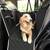 pecute Hundedecke Auto