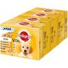 Multipack Junior von Pedigree