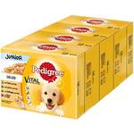 Pedigree Multipack Junior