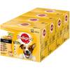 Portionsbeutel Multipack Adult 4 Varietäten in Sauce von Pedigree