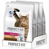4008429090431 von Perfect Fit