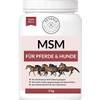 MSM Pferd Pulver von Petgold