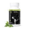 Petdog Health 2605 von Peticare