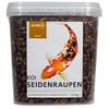 Koi Seidenraupen von Petifool