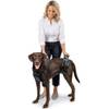 careLift Hebegeschirr von PetSafe
