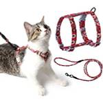 Pettom Katzengeschirr