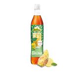 Pfanner Der Grüne Zitrone-Kaktusfeige Sirup