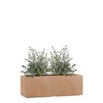 Pflanzwerk Pflanzkübel Terrakotta