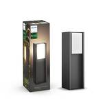 Philips Hue White Turaco