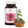 Andrographis Tabletten von Phoenix der Lebenskraft