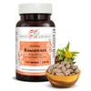 Rosenwurz Tabletten von Phoenix der Lebenskraft