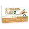 Gingerin Plus von Phytholistic