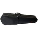 Pianelli Geigenkasten