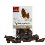 Pilze Wohlrab Spitzmorcheln