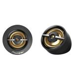 Pioneer TS-A301TW