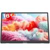 Touchscreen-Monitor 16INTSZJ-HD von Pisichen