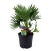 2034191 von Plant in a Box