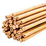 Plantawa Bambusstäbe