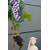 Plantenwelt  Regent
