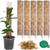 Plantscraper Moosstab