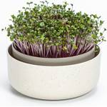 Plastia Urbalive Keimschale