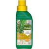 Palm von Pokon