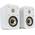Signature Elite ES10 von Polk Audio