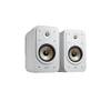 ES20 von Polk Audio
