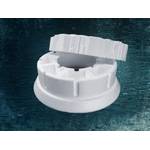 Pondlife SW11082