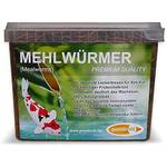 pondovit Mehlwürmer
