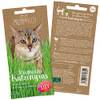 Katzengras-Samen von Pretty Kitty