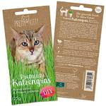 Pretty Kitty Katzengras-Samen
