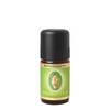 Nelkenknospe bio von Primavera