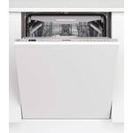 Privileg RIO 3T131 A FE X