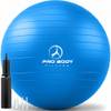 Gymnastikball von ProBody Pilates