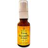 Propolis Spray von Propol-mel