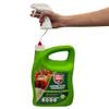 Lizetan Plus Schädlingsfrei AF von PROTECT GARDEN 