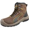 Sierra Nevada Mid von Puma