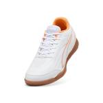 Puma Truco IV