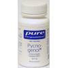 Pycnogenol von pure encapsulations