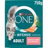 One Adult Lachs von Purina
