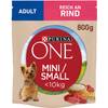 ONE Adult von Purina