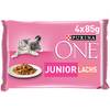 Junior von PURINA ONE