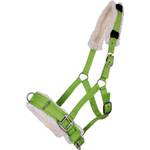 Qhp Vollblut-Kappzaum