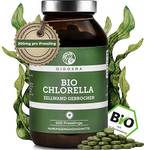 Qidosha Bio Chlorella